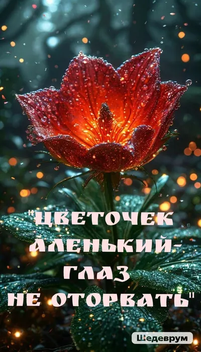 Polish_20261001_093110917