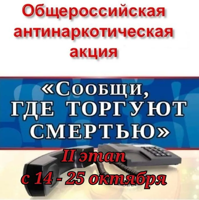 Polish_20251014_110008373